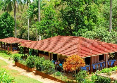 Topes de Collantes | Los Helechos Hotel Restaurant