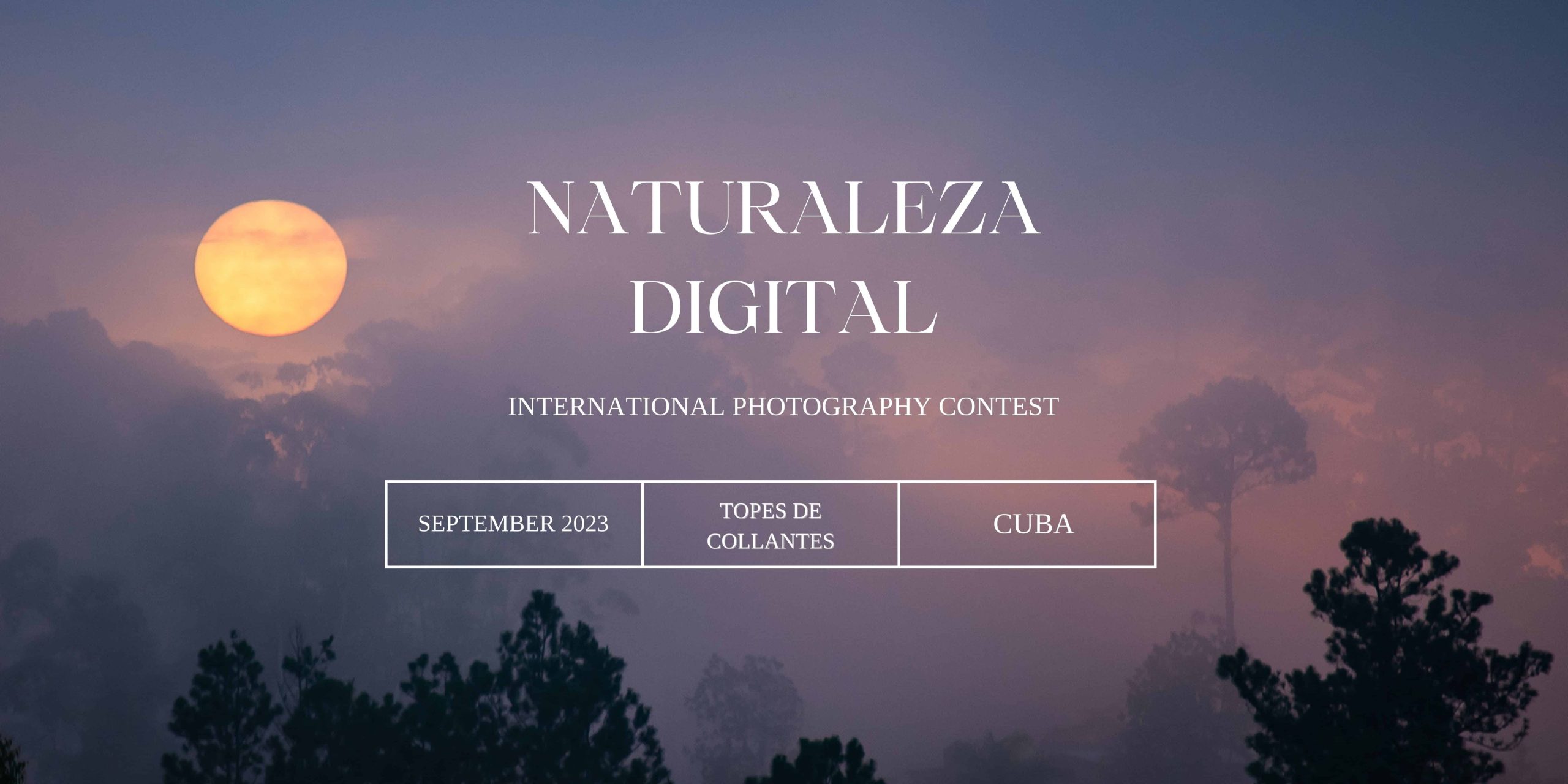 Naturaleza Ditigal Website Banner